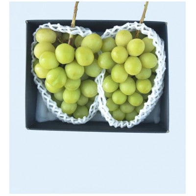 ★2026年度発送　シャインマスカット1.0kg相当【配送不可地域：離島・沖縄県】【1642769】