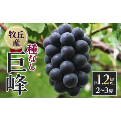 【2026年発送　先行受付】山梨直送!!種なし巨峰2〜3房(1.2kg以上)【配送不可地域：離島・沖縄県】【1695493】