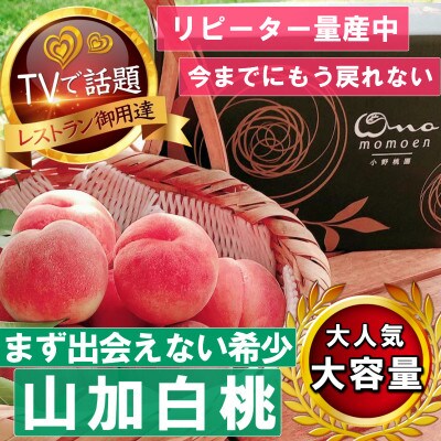 【まず出逢えない幻の山加白桃】人気品種指定ギフト5年連続TV出演話題ブランド2026年7月下旬【配送不可地域：離島・北海道・沖縄県・中国・四国・九州】【1465320】