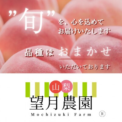 【2026年先行予約】訳あり桃・2K(5~7個)「龍の木の実 望月のもも」【配送不可地域：離島】【1495639】