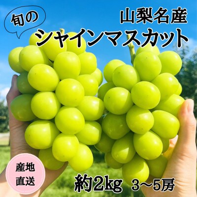 ◆2026年発送◆産地直送 山梨名産!旬のシャインマスカット 3〜5房(約2kg)【配送不可地域：離島】【1640708】