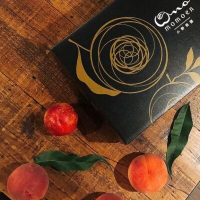 【果汁スプラッシュ日川白鳳】人気品種指定ギフト5年連続TV出演話題ブランド桃2026年6月下旬発送【配送不可地域：離島・北海道・沖縄県・中国・四国・九州】【1465185】