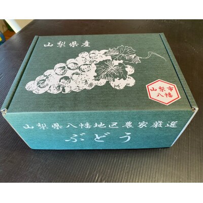 シャインマスカット 2房 入り 1kg 以上【配送不可地域：離島】【1292440】