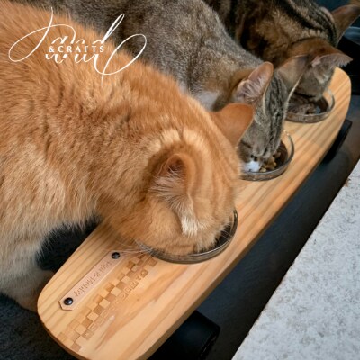 【&CRAFTS】Pet bowls stand-3BOWLS-(Red)※名入れプレート付き【1257968】