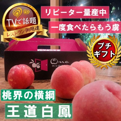 2027年発送先行受付【桃界の横綱キング白鳳】人気品種指定ギフト5年連続TV出演話題ブランド桃【配送不可地域：離島・北海道・沖縄県・中国・四国・九州】【1465186】
