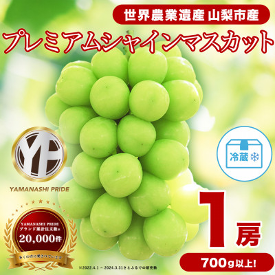 2026年度先行予約 フルーツ王国山梨産厳選 大房シャインマスカット 1房 (約700〜800g)【配送不可地域：離島】【1134568】