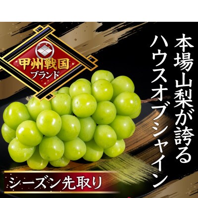 【本場山梨の真骨頂】全国に先駆けて話題のハウスオブシャインマスカットの旬を堪能2026年6月上旬発送【配送不可地域：離島】【1494994】