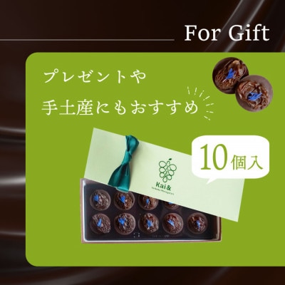 シャインマスカットレーズンのチョコレートマンディアン 10個入 山梨県産シャインマスカット使用【1697053】