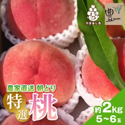 【2026発送予定】農家直送朝どり桃!大きくて甘い特選桃5〜6玉入り山梨市産地直送約2kg箱【配送不可地域：離島】【1178161】
