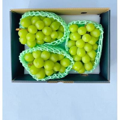 ★2026年度発送　シャインマスカット2.0kg相当【配送不可地域：離島・沖縄県】【1642767】