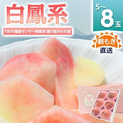 《2026年発送　先行受付》桃 『白鳳系』 約2kg 5〜8玉 朝もぎ直送! 選び抜かれた桃【配送不可地域：離島】【1275881】