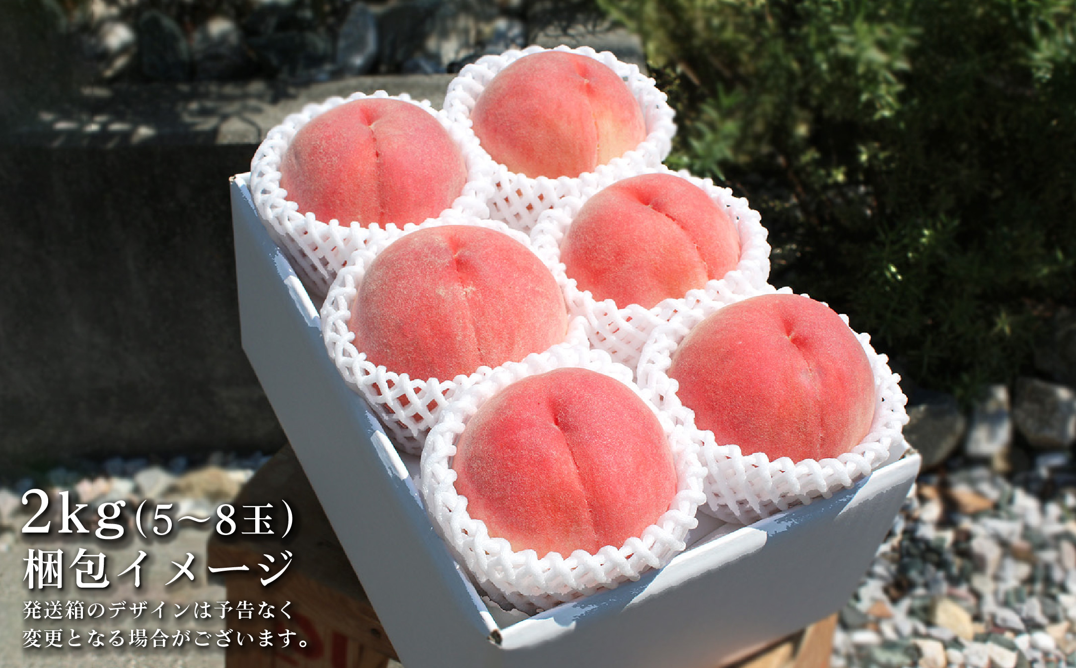 2026年 先行受付【訳あり】山梨もも2kg以上 5〜8玉 熟練農家厳選の旬の桃 ご家庭用【配送不可地域：離島・沖縄県】【1277692】
