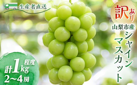 【2026年先行受付】訳あり!生産者直送シャインマスカット 計1kg【味には妥協なし!】【配送不可地域：離島】【1681114】