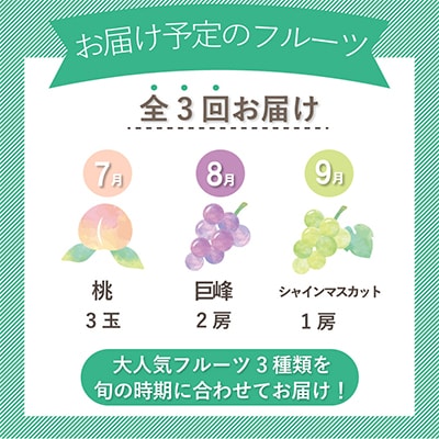 【発送月固定定期便】山梨県産旬の大人気フルーツ【桃・巨峰・シャインマスカット】お試し定期便 全3回【配送不可地域：離島・沖縄県】【4013021】