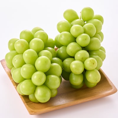 縲2026蟷エ逋コ騾√蜈郁。悟女莉倥代d縺ソ縺、縺阪す繝」繧、繝ウ繝槭せ繧ォ繝繝 1.2kg (2縲3謌ソ)縲宣埼∽ク榊庄蝨ー蝓滂シ夐屬蟲カ縲代1304362縲