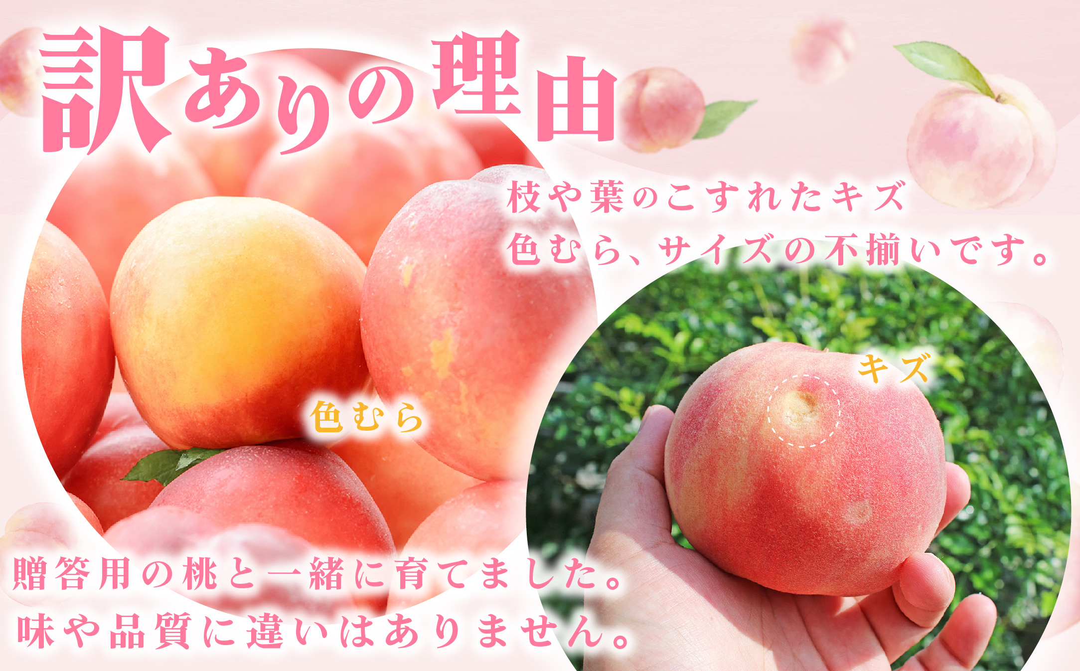 2026年 先行受付【訳あり】山梨もも2kg以上 5〜8玉 熟練農家厳選の旬の桃 ご家庭用【配送不可地域：離島・沖縄県】【1277692】