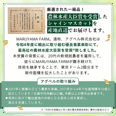 【先行受付 2026年発送】農林水産大臣賞受賞!!シャインマスカット 2房 1kg以上【配送不可地域：離島】【1143545】