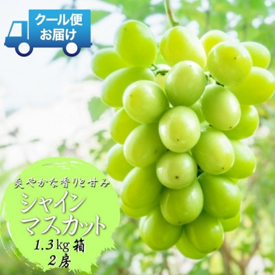 先行予約　2026年発送分　山梨県山梨市　安心のクール便発送　シャインマスカット 1.3kg 　2房【配送不可地域：離島・沖縄県】【1671620】