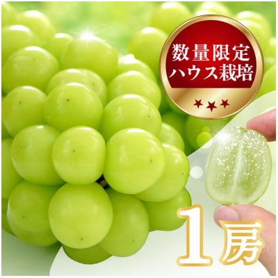 ãæ°ééå® ã6æäžæ¬ã7æäžæ¬çºéãããŠã¹æ œå¹ã®ãã·ã£ã€ã³ãã¹ã«ããã 1æ¿ãé
éäžå¯å°åïŒé¢å³¶ã»æ²çžçãã1041840ã