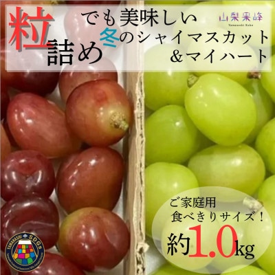★2026年度発送　SDGs 粒詰め　冬のシャインマスカット&マイハート　1kg相当【配送不可地域：離島・北海道・沖縄県・中国・四国・九州】【1752173】
