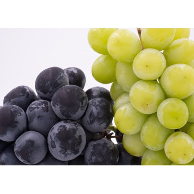 【発送月固定定期便】山梨旬の味覚定期便【桃 約1kg/2色葡萄 1kg以上】全2回【配送不可地域：離島】【4082867】