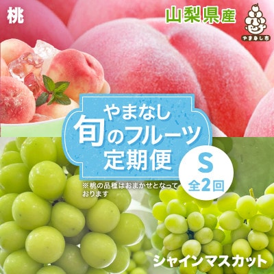 【発送月固定定期便】やまなし旬のフルーツ定期便(桃・シャインマスカット)【S】全2回【配送不可地域：離島】【4077908】