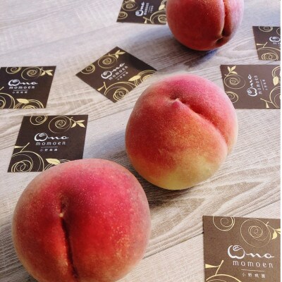 【果汁スプラッシュ日川白鳳】人気品種指定ギフト5年連続TV出演話題ブランド桃2026年6月下旬発送【配送不可地域：離島・北海道・沖縄県・中国・四国・九州】【1465184】