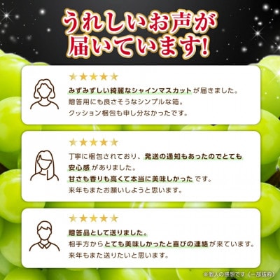 2026年度先行予約 フルーツ王国山梨 厳選 シャインマスカット 6〜8房(約4kg) 2kg×2箱【配送不可地域：離島】【1632338】