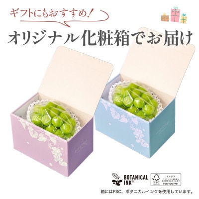 ãæ°ééå® ã6æäžæ¬ã7æäžæ¬çºéãããŠã¹æ œå¹ã®ãã·ã£ã€ã³ãã¹ã«ããã 1æ¿ãé
éäžå¯å°åïŒé¢å³¶ã»æ²çžçãã1041840ã