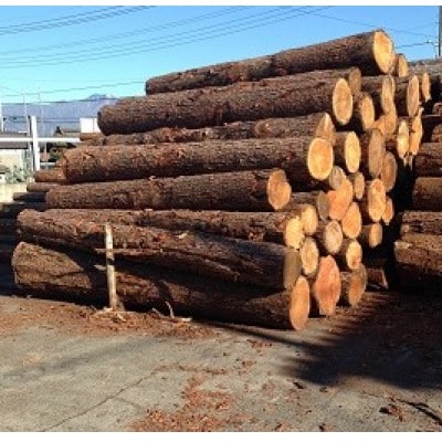 やまなしペレット　20kg(10kg×2袋)【1734832】