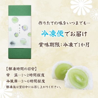 山梨県産シャインマスカットのフルーツ大福「雪みどり」10個入 皇室献上菓匠が作る期間限定和菓子【配送不可地域：離島】【1041050】