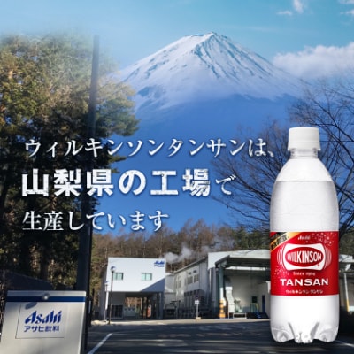 【2週間毎定期便】【月2回:6か月】ウィルキンソン タンサン 500ml【24本】1箱ずつ全12回【4013657】