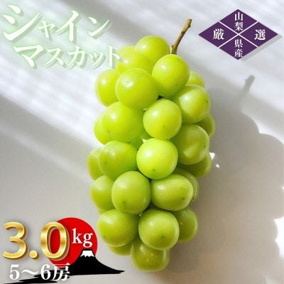 【2026年発送 先行受付】山梨県山梨市産 朝採れ シャインマスカット 3.0kg (5〜6房)【配送不可地域：離島・沖縄県】【1691274】