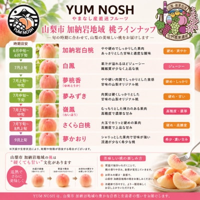【山梨県山梨市産】加納岩の桃 旬のおまかせ 1kg(3玉)贈答用 〜世界農業遺産地域からお届け〜【配送不可地域：離島・沖縄県】【1739290】
