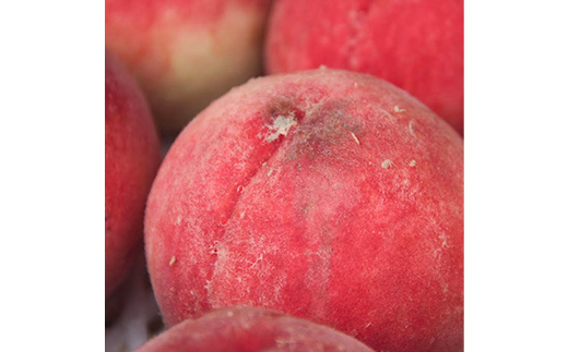 2026幎çºé 山梚åžç£ èš³ããæ¡ çŽ2kg(4ã8ç)ãé
éäžå¯å°åïŒé¢å³¶ãã1688049ã