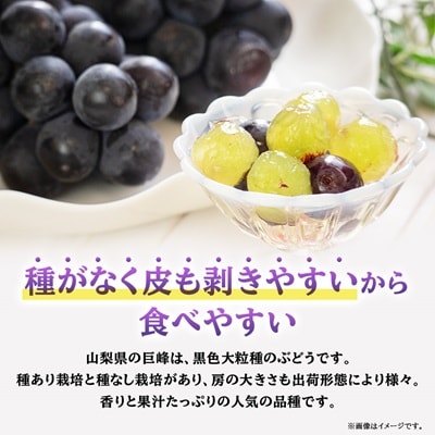 【2026年発送】山梨市産「巨峰(種なし)」詰め合わせ(約500g×3房)【配送不可地域：離島・沖縄県】【1117300】