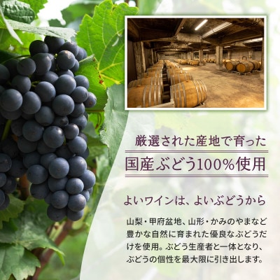 サントネージュワイン白ワイン5本セット【1613608】