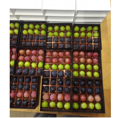 【2026年先行受付】ぶどうが光り輝く宝石に!!牧丘天空の丘ブランドぶどうの宝石箱 約700g【配送不可地域：離島】【1705539】