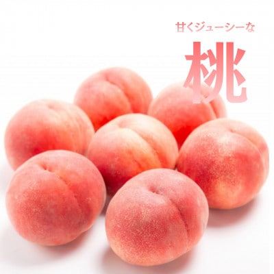 【発送月固定定期便】【2026年先行受付】旬のフルーツ定期便　桃2kg・シャインマスカット全2回【配送不可地域：離島・沖縄県】【4076701】