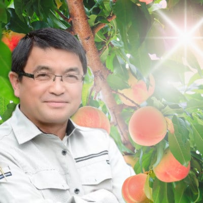 【2026年先行予約】訳あり桃・3K(7~10個)「龍の木の実 望月のもも」【配送不可地域：離島】【1495641】