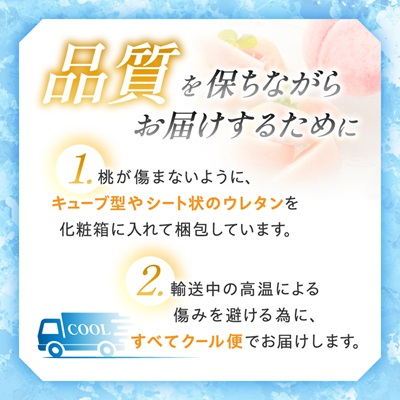 ã2027幎(æ¥å¹Ž)çºéãå
è¡åä»ã山梚çŽé!å®çæ¡3çå
¥ã ã®ããåç²§ç®±å
¥ã ã詊ããµã€ãºãé
éäžå¯å°åïŒé¢å³¶ã»æ²çžçãã1485567ã
