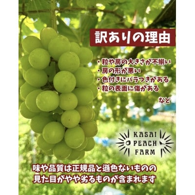 【2026年発送】訳あり シャインマスカット 2〜3房 1kg以上【配送不可地域：離島】【1732300】