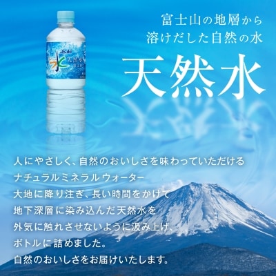 【毎月定期便】【2か月お届け】「おいしい水」 天然水 富士山 600ml【24本入】アサヒ飲料全2回【4053312】