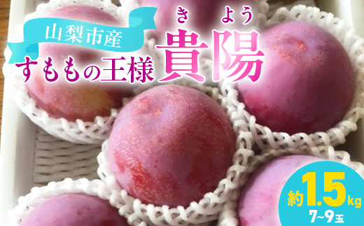 貴陽(すもも)1ケース【約1.5kg　7〜9玉】【配送不可地域：離島】【1731286】