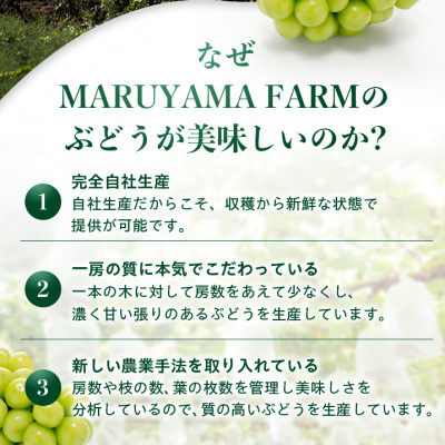 【発送月固定定期便】【農林水産大臣賞受賞!!】山梨のシャインマスカット1房0.5kg以上全3回【配送不可地域：離島】【4064096】