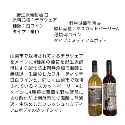 東晨洋酒 野生派葡萄酒 白赤セット 無添加ワイン　合計2本(720ml×各1本)【1706047】