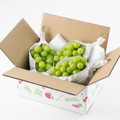 ã2026幎å
è¡åä»ã山梚åžç£ãã·ã£ã€ã³ãã¹ã«ãã(çš®ãªã)ã çŽ1.5kg (çŽ500gÃ3æ¿)ãé
éäžå¯å°åïŒé¢å³¶ã»æ²çžçãã1117303ã