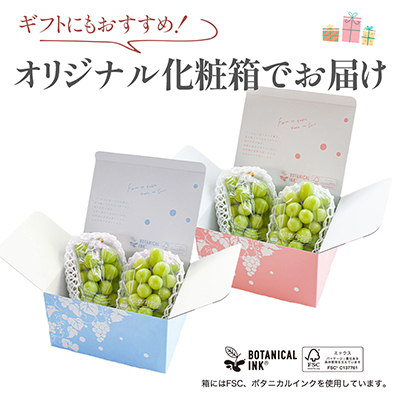 ã2026幎çºé å
è¡åä»ãã·ã£ã€ã³ãã¹ã«ãã 2æ¿ (çŽ1kg) 山梚çç£ãã«ãŒã 人æ°ã®ã¶ã©ããé
éäžå¯å°åïŒé¢å³¶ã»æ²çžçãã1017347ã