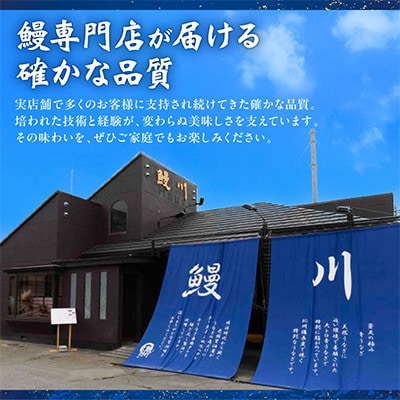 【セット】山梨県産富士山脈の地下水 うなぎの蒲焼[2尾約240g]+刻み蒲焼[約50g×2袋]【配送不可地域：離島】【1728504】