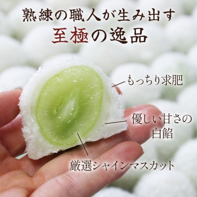 山梨県産シャインマスカットのフルーツ大福「雪みどり」10個入 皇室献上菓匠が作る期間限定和菓子【配送不可地域：離島】【1041050】